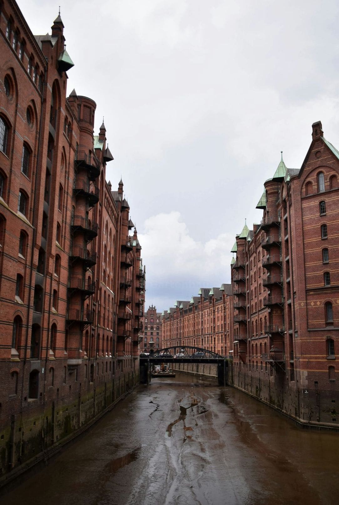 Rasenanlage und Rollrasenverlegung
